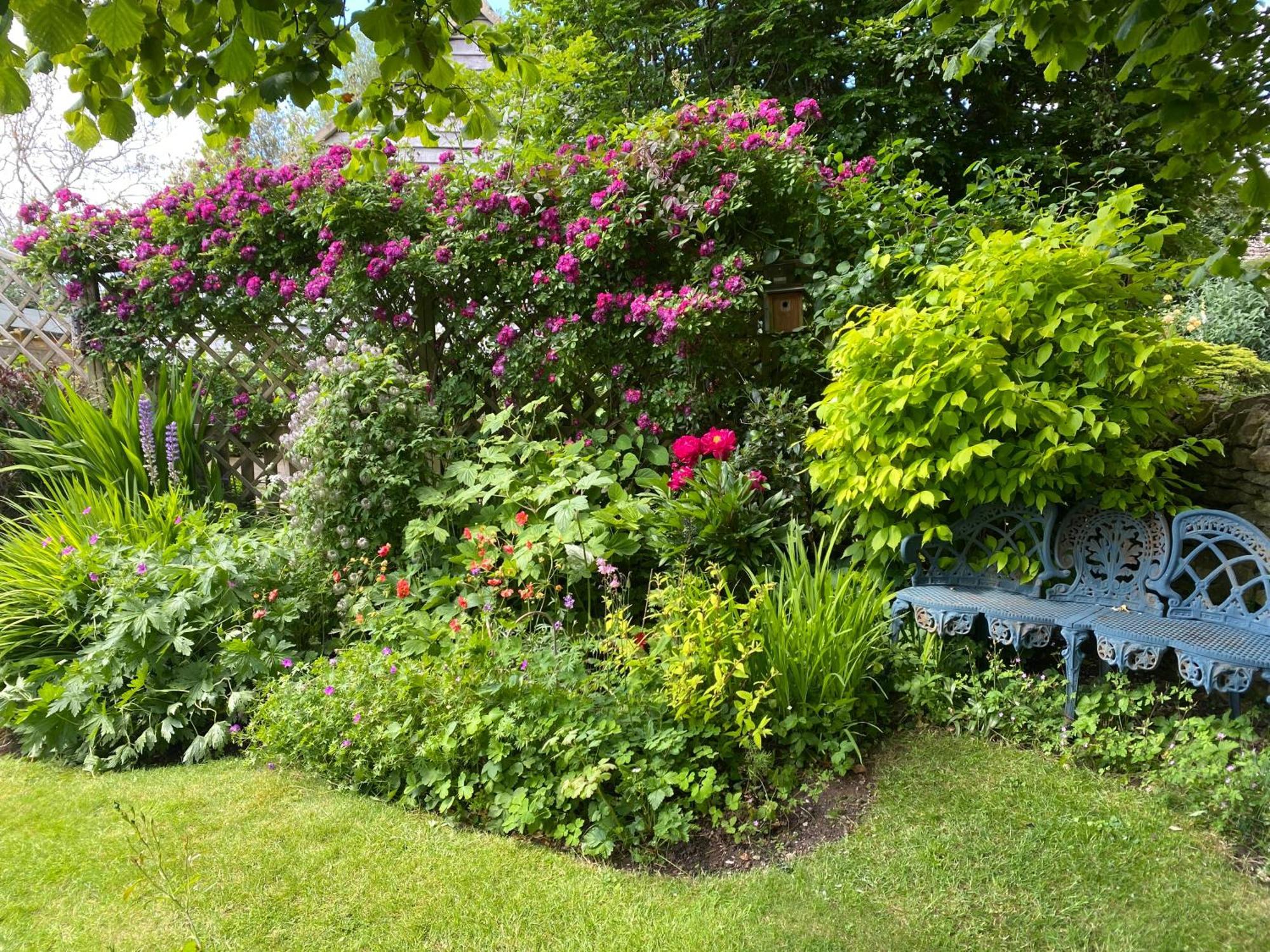 Charming Cottage, Great Rissington, Cotswolds Εξωτερικό φωτογραφία